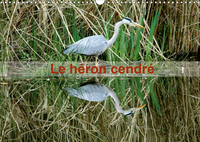 LE HERON CENDRE CALE