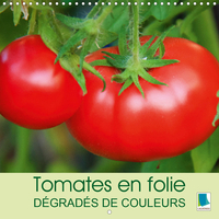 TOMATES EN FOLIE DE