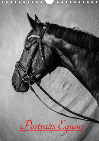 PORTRAITS EQUINS (CALENDRIER MURAL 2020 DIN A4 VERTICAL) - PORTRAITS EN NOIR ET BLANC DE CHEVAUX (CA