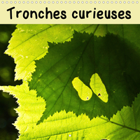 TRONCHES CURIEUSES (CALENDRIER MURAL 2020 300 * 300 MM SQUARE) - OBJETS INANIMES, AVEZ-VOUS DONC UNE