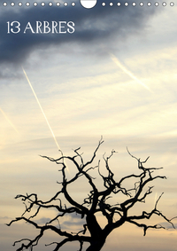 13 ARBRES CALENDRIER