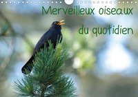 MERVEILLEUX OISEAUX D