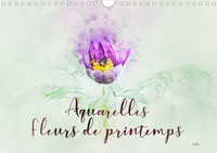 AQUARELLES FLEURS DE