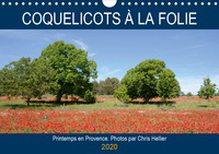 COQUELICOTS A LA FOLI