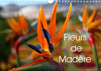 FLEURS DE MADERE CAL