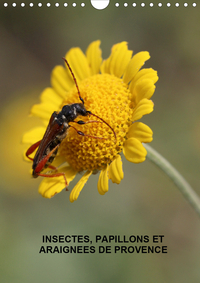 INSECTES, PAPILLONS ET ARAIGNEES DE PROVENCE (CALENDRIER MURAL 2020 DIN A4 VERTICAL) - LES INSECTES,