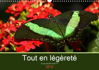 TOUT EN LEGERETE CAL