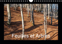 FEUILLES ET ARBRES C