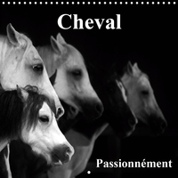 CHEVAL PASSIONNEMENT