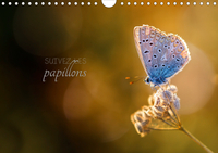 SUIVEZ LES PAPILLONS (CALENDRIER MURAL 2020 DIN A4 HORIZONTAL) - CALENDRIER PHOTO SUR LE THEME DES P