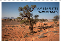 SUR LES PISTES NAMIBIENNES (CALENDRIER MURAL 2020 DIN A3 HORIZONTAL) - A LA DECOUVERTE DE LA NAMIBIE