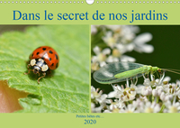 DANS LE SECRET DE NOS