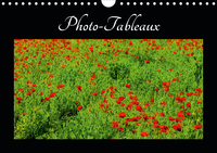Photo-Tableaux (Calendrier mural 2020 DIN A4 horizontal)