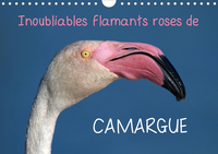 INOUBLIABLES FLAMANTS