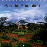 PARADIS ANIMALIERS (CALENDRIER MURAL 2020 300 * 300 MM SQUARE) - NOTRE PLANETE EST RICHE DE SPECTACL