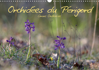 ORCHIDEES DU PERIGORD (CALENDRIER MURAL 2020 DIN A3 HORIZONTAL) - BELLES ET FRAGILES FLEURS SAUVAGES