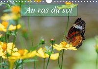 AU RAS DU SOL CALEND