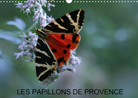 LES PAPILLONS DE PROVENCE (CALENDRIER MURAL 2020 DIN A3 HORIZONTAL) - LES BEAUX PAPILLONS AUX COULEU