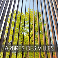 ARBRES DES VILLES CA
