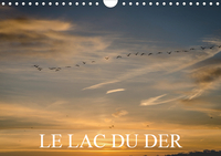 LE LAC DU DER CALEND