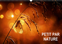 PETIT PAR NATURE (CALENDRIER MURAL 2020 DIN A3 HORIZONTAL) - SELECTION DE PHOTOGRAPHIES MACRO (CALEN