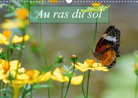 AU RAS DU SOL CALEND