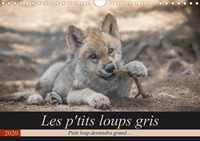 Les p'tits loups gris (Calendrier mural 2020 DIN A4 horizontal)