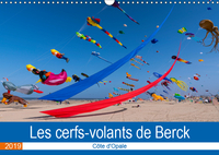 LES CERFS VOLANTS DE