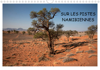 SUR LES PISTES NAMIBIENNES (CALENDRIER MURAL 2020 DIN A4 HORIZONTAL) - A LA DECOUVERTE DE LA NAMIBIE