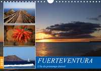 Fuerteventura, l'île du printemps éternel (Calendrier mural 2020 DIN A4 horizontal)