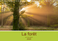 LA FORET AU FIL DES S