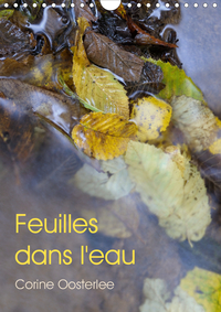 FEUILLES DANS L'EAU (CALENDRIER MURAL 2020 DIN A4 VERTICAL) - ECLATS DE LUMIERE SUR LES FEUILLES INO