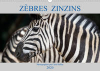 ZEBRES ZINZINS CALEN