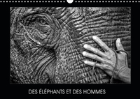 DES ELEPHANTS ET DES HOMMES (CALENDRIER MURAL 2020 DIN A3 HORIZONTAL) - LA RELATION ENTRE LES ELEPHA