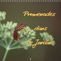 PROMENADES DANS LE JARDIN (CALENDRIER MURAL 2020 300 * 300 MM SQUARE) - COLLECTION DE FLEURS TYPIQUE