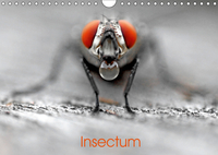 INSECTUM CALENDRIER