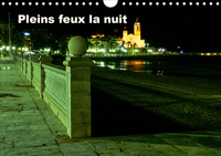 PLEINS FEUX LA NUIT (CALENDRIER MURAL 2020 DIN A4 HORIZONTAL) - LES COULEURS DE LA NUIT S'APPROPRIEN