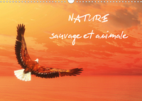 NATURE SAUVAGE ET ANI