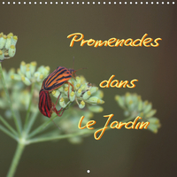Promenades dans le jardin (Calendrier mural 2019 300 × 300 mm Square)