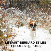 LE SAINT BERNARD ET L
