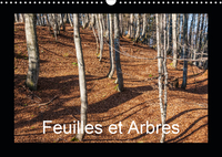 FEUILLES ET ARBRES C