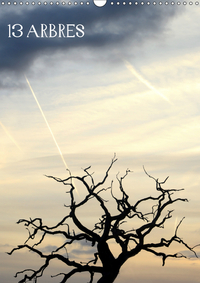 13 ARBRES CALENDRIER