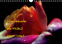 UNE ANNEE DE ROSES POUR VOUS (CALENDRIER MURAL 2020 DIN A4 HORIZONTAL) - PHOTOS INEDITES DE ROSES (C