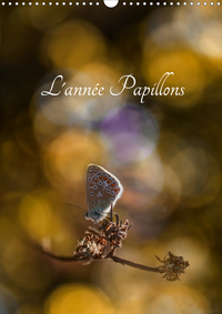 L'ANNEE PAPILLONS (CALENDRIER MURAL 2020 DIN A3 VERTICAL) - CALENDRIER ILLUSTRE AYANT POUR THEME LES