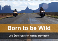BORN TO BE WILD - LES ETATS-UNIS EN HARLEY-DAVIDSON (CALENDRIER MURAL 2020 DIN A3 HORIZONTAL) - LES