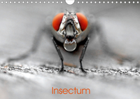 INSECTUM CALENDRIER