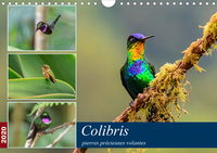 COLIBRIS - PIERRES PRECIEUSES VOLANTES (CALENDRIER MURAL 2020 DIN A4 HORIZONTAL) - LES COLIBRIS DU C