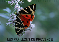 LES PAPILLONS DE PROVENCE (CALENDRIER MURAL 2020 DIN A4 HORIZONTAL) - LES BEAUX PAPILLONS AUX COULEU