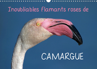 INOUBLIABLES FLAMANTS