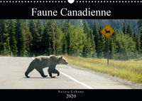 Faune Canadienne (Calendrier mural 2020 DIN A3 horizontal)